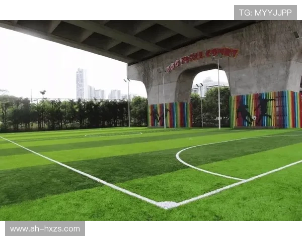 佛山共有多少座体育场馆全面盘点