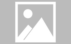 成熟美洲狮解放阵线欧洲游泳运动知识篮球战术5v5防守常用战术